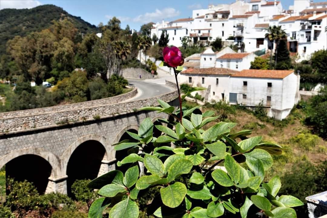 Casa Rural Sierras De Gaucín Buitenkant foto